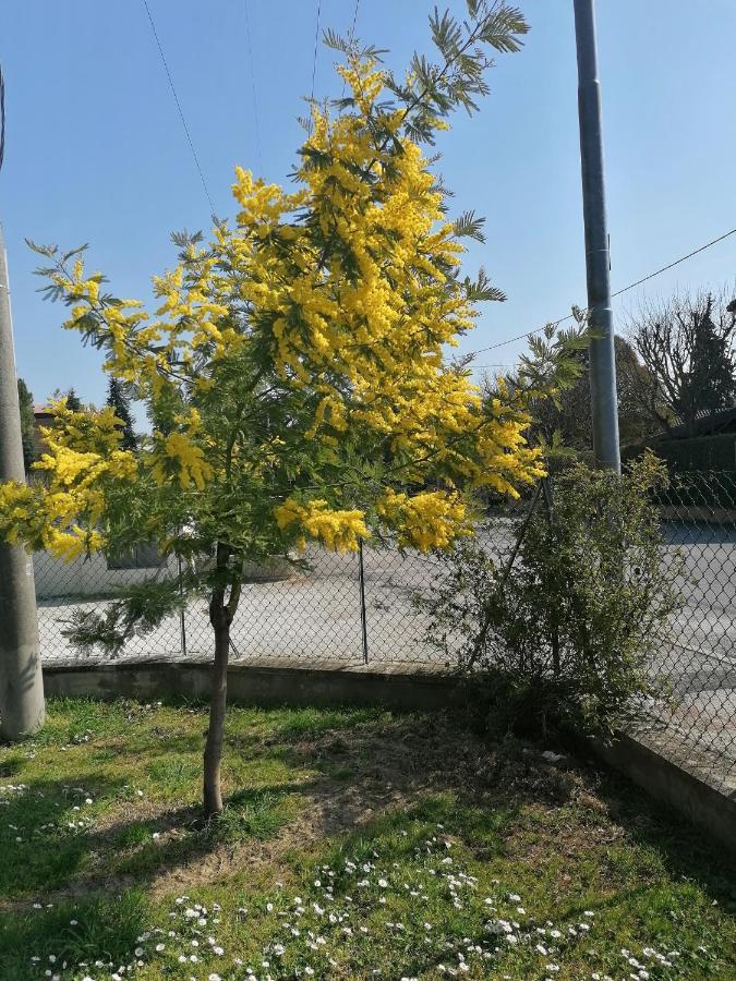 Ferienwohnung La Birichina SantʼArcangelo di Romagna Exterior foto